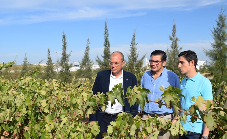 Monago subraya la Agroindustria como motor de Extremadura