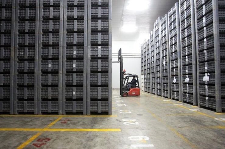 Las exportaciones extremeñas cayeron un 2,4% en el primer semestre del año
