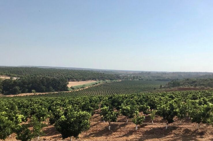 La Junta contempla 20M€ para el regadío de Tierra de Barros y 10,8M€ para seguros agrarios