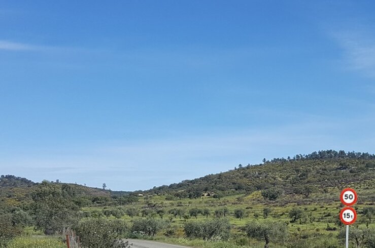 Junta autoriza contratación de obras en caminos rurales por más de 63 millones en 4 años