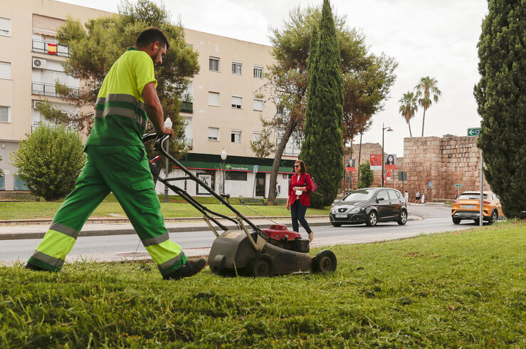 El Ayuntamiento de Mérida crea dos nuevas bolsas de empleo en Albañilería y Jardinería