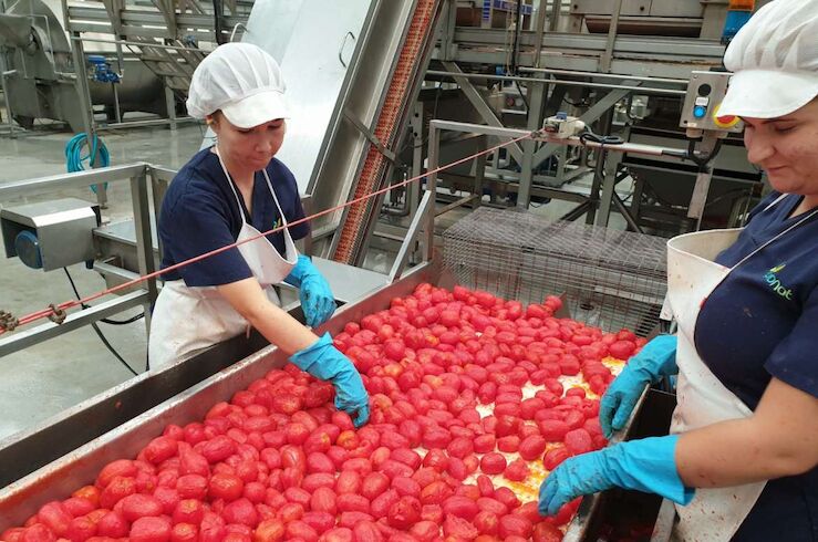 Los precios industriales bajan un 0,6% interanual en marzo en Extremadura