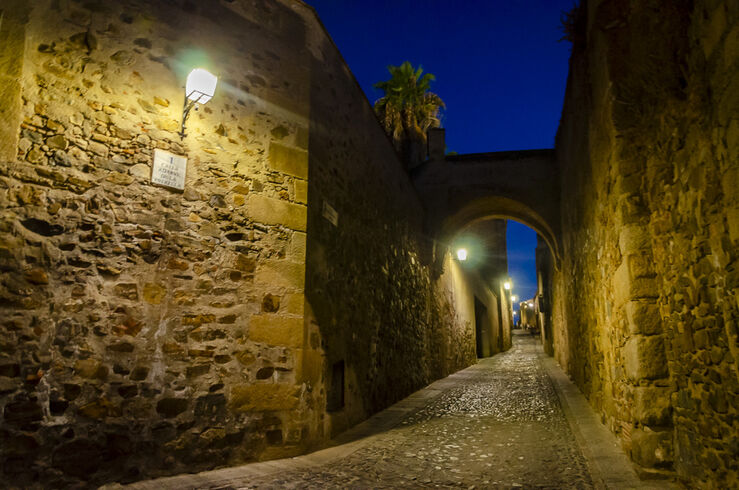 El GCPHE entrega en Cáceres su premio anual a la Fundación Tatiana