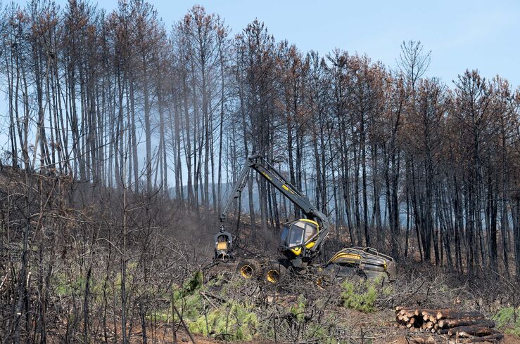 Bruselas propone movilizar 120M€ para ayudar a España a recuperarse de los incendios