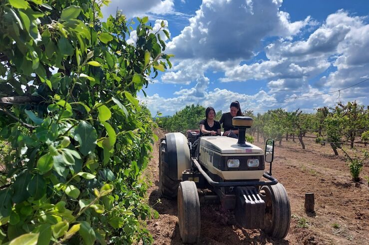 Eurocámara toma medidas para proteger a agricultores frente a prácticas comercio desleales