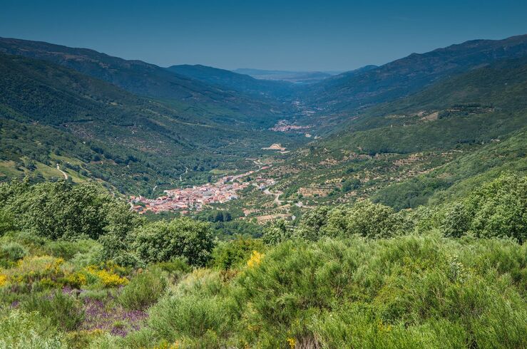 Fundación Madrina propone realojar a familias en pueblos de la España abandonada