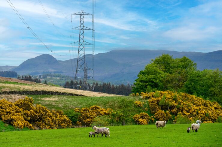 Electricidad distribuida por Iberdrola creció 7,5% por mayor demanda y electrificación