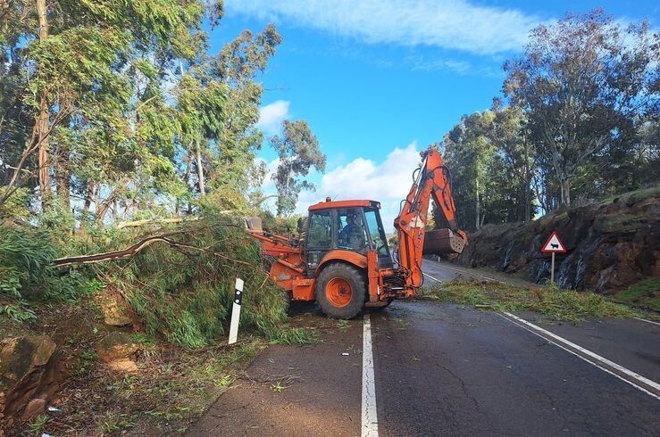 Plazo para solicitar exención del IBI y el IAE por daños por borrascas se abre este martes