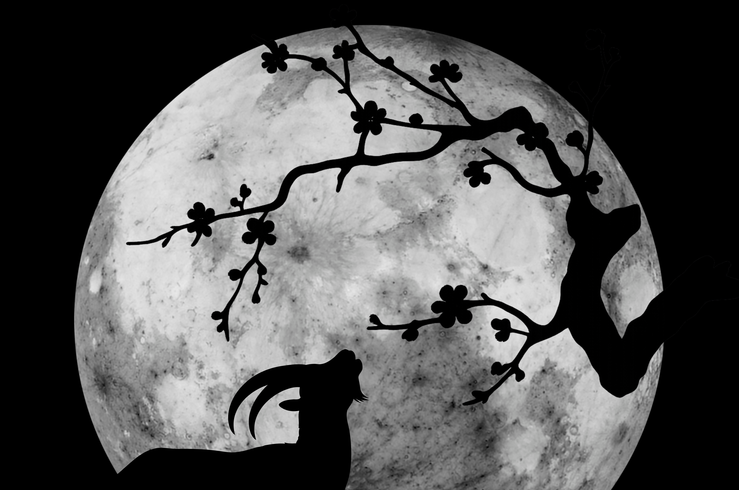 El XXXIV Festival Plena Moon llega a Cabrero con intervenciones artísticas y culturales