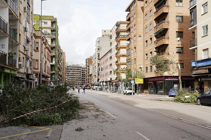 Cáceres evalúa en 2,5M€  los daños producidos en la ciudad por las borrascas