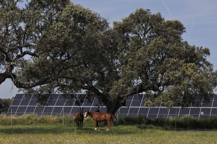 Statkraft abre la convocatoria de sus becas ‘Atrayendo Talento’ en Talayuela