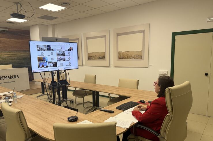 Extremadura rechaza aumentar los fondos para promoción exterior del vino