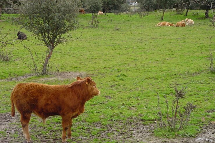 Extremadura mantiene 
