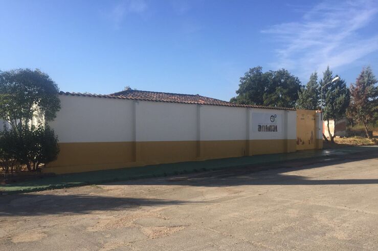 Pacma pide Junta información cerdos vietnamitas alojados Centro Protección Animal Badajoz