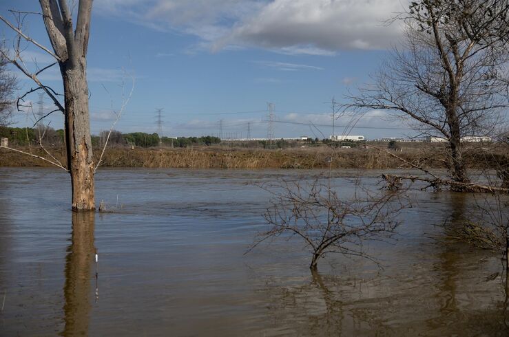 CHT publica informe sobre gestión avenidas provocadas por borrascas de principios de 2026