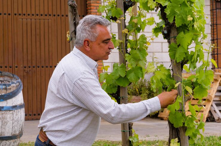 Tradición e innovación se fusionan de la mano de Juan Leandro Romero, un artesano del vino