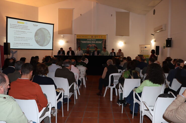 Tratamiento biológico extremeño logra resultados altamente eficaces contra seca de dehesa