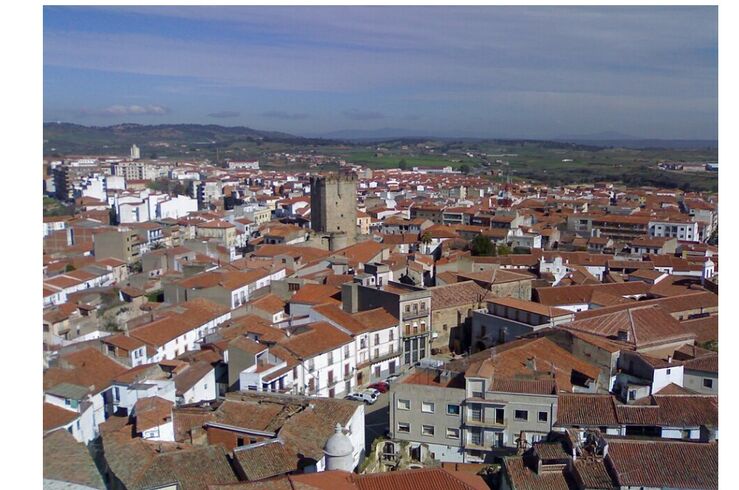 Ayuntamiento de Coria pide a ciudadanía limpieza parcelas para prevenir incendios