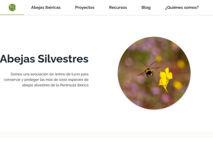 ADENEX celebra la XXXVIII edición de sus premios en defensa de la naturaleza y la cultura