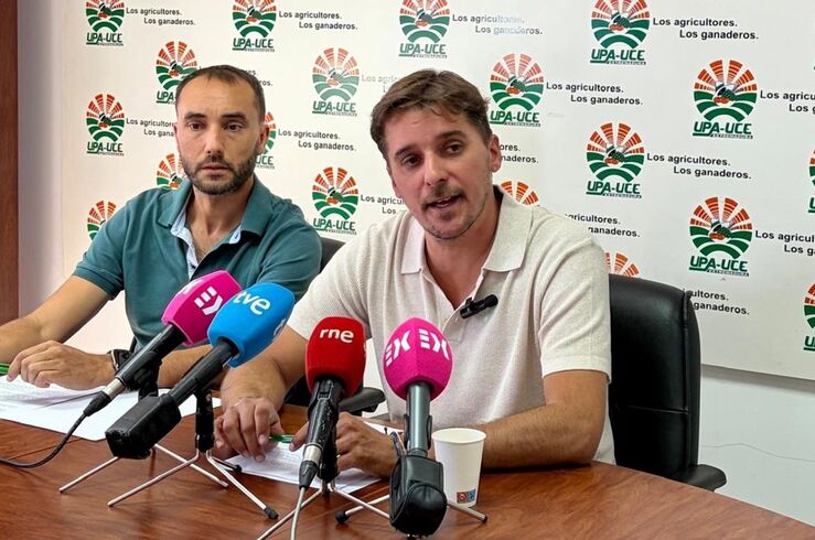 UPA-UCE Extremadura alerta de que el cereal de secano está en peligro con caída producción