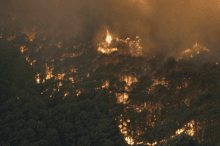 Ecologistas en Acción critica que Fuentes de León haya adelantado los fuegos artificiales 