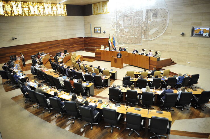 Gestión sanitaria, el curso escolar y la situación en Ceuta, a debate en pleno de Asamblea