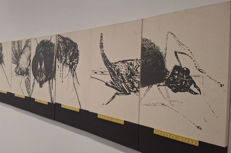 Museo Vostell-Malpartida y el MEIAC colaboran en la muestra `Mirar para ver lo ausente'