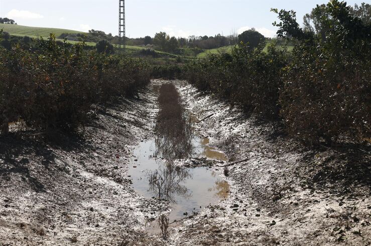 Gobierno abona 4,8 millones a agricultores y ganaderos por los daños de las borrascas