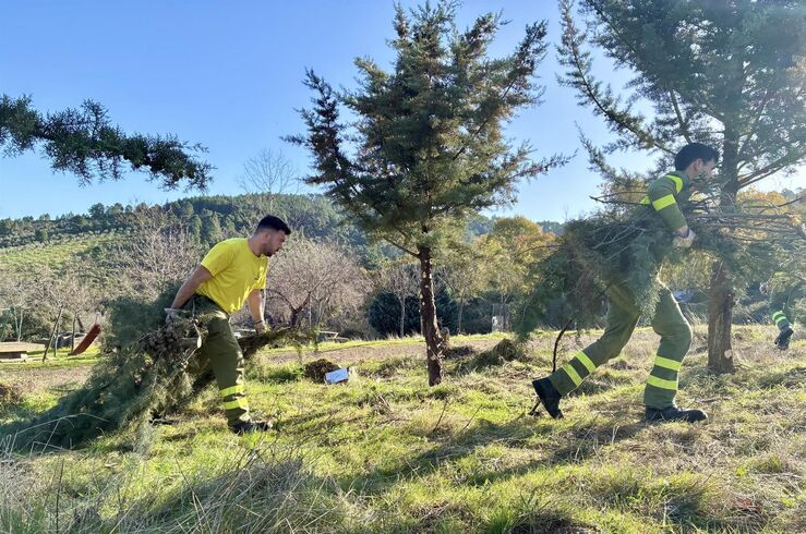 Junta: Propuesta PSOE sobre planes de incendios para municipios carece del 