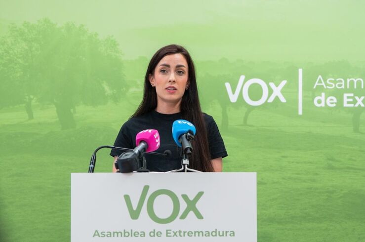 Vox pide el despliegue de las fuerzas armadas en las fronteras de Ceuta y Melilla