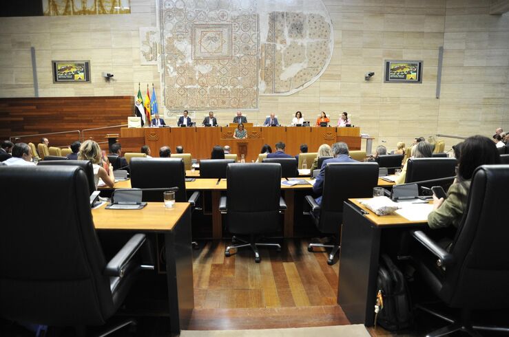 PP y Vox rechazan enmiendas del PSOE y Unidas en Salud porque PGEx refuerzan el sistema