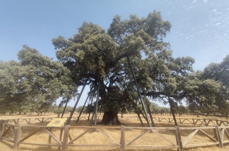 Adenex lleva a 6 municipios su proyecto que promueve conservación de patrimonio natural