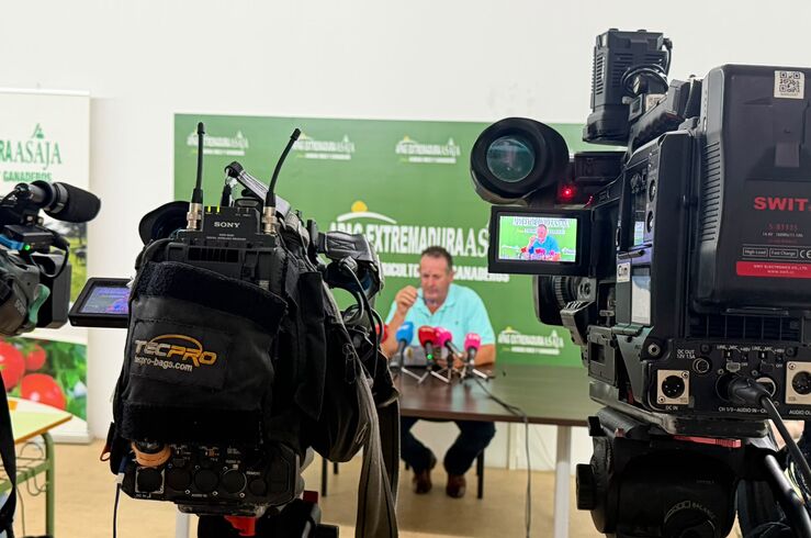 Apag Extremadura Asaja urge a administraciones frenar la especulación en aceite de oliva