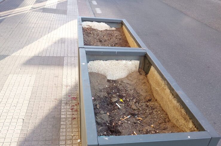 Varias asociaciones de Cáceres critican deterioro de arriates y maceteros de Gil Cordero