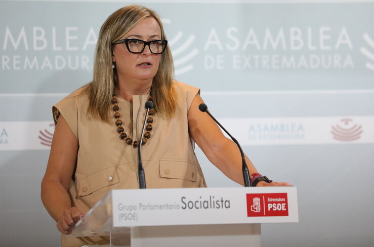 PSOE afirma que marca agenda y la Junta debe reaccionar ante problemas de Extremadura