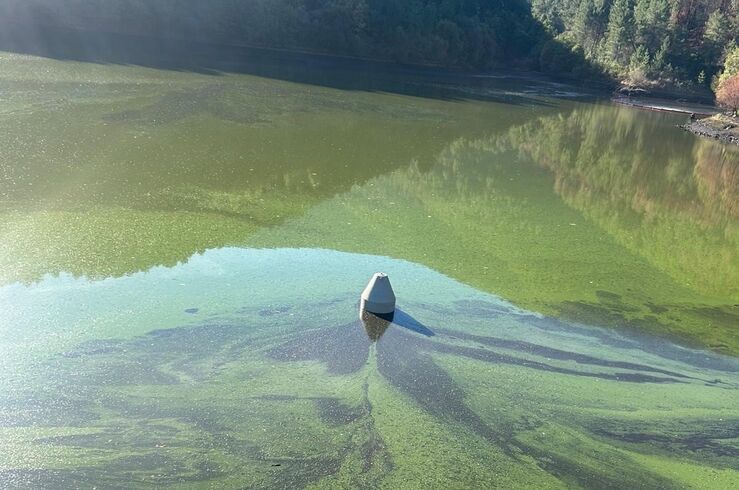 PSOE de Nuñomoral denuncia que ayuntamiento no solucione problemas en el agua potable