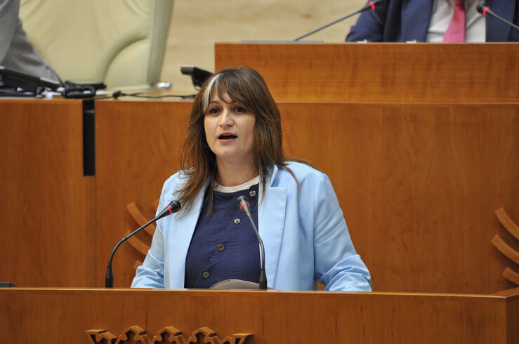 PSOE critica falta de acompañamiento de Junta al proyecto de gigafactoría de Navalmoral