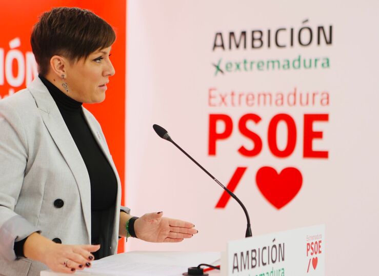 PSOE pide ms poltica ms recursos y ms compromiso para acabar con violencia gnero