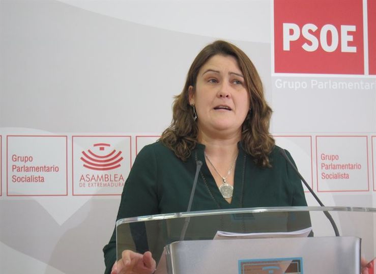 PSOE Mujeres necesitan medidas de tratamiento integral y no solamente bonificacin fiscal