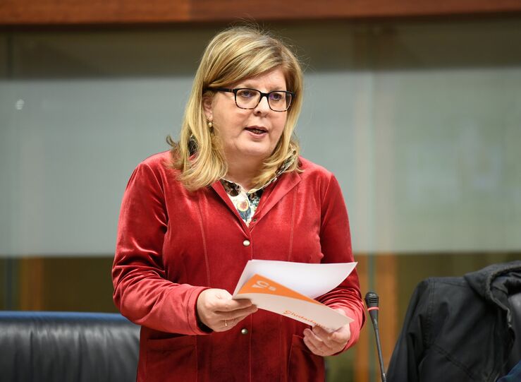 Ciudadanos pide a  la Junta mayor atencin a problemas olivar