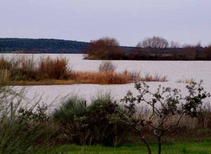 SEOBirdlife celebra el Da Mundial de los Humedales con actividades en Extremadura 