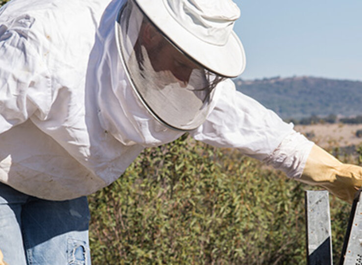 UPAUCE alerta que los apicultores no pueden solicitar ayudas de la PAC 