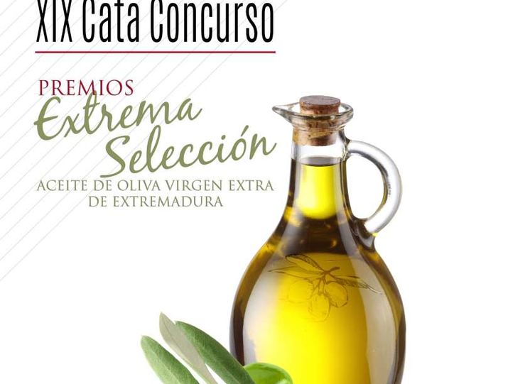 38 aceites extremeos participan en la XIX CataConcurso de Aceites de Oliva Virgen Extra