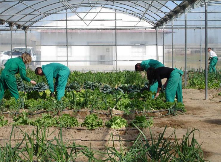 Trabajadores agrarios por cuenta ajena inactivos podrn diferir pago cuotas enero a abril
