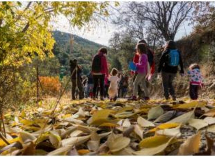 Conoce ms acerca de la iniciativa de Ecoembes y SEOBirdLife 