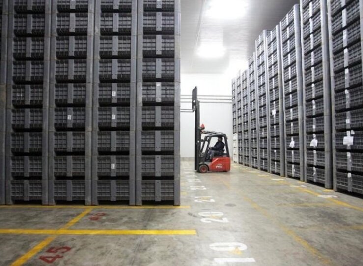 Las exportaciones extremeas cayeron un 24 en el primer semestre del ao