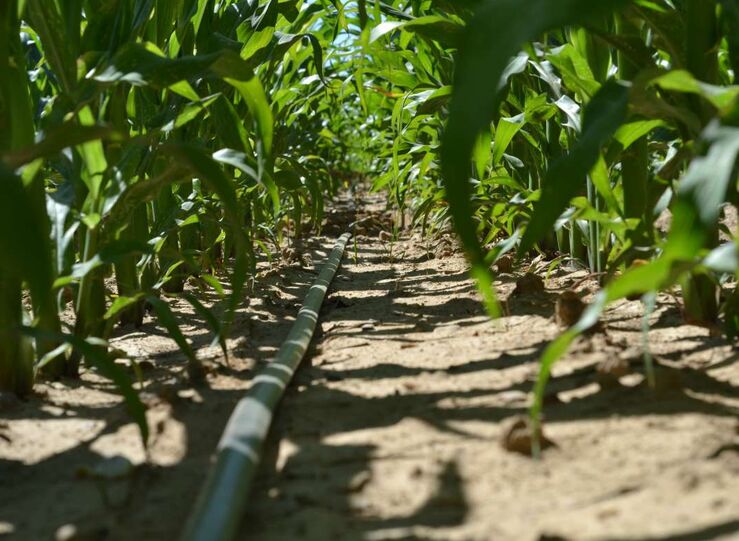 Junta aclara que 20 millones para 1 fase regado Tierra de Barros son fondos autonmicos