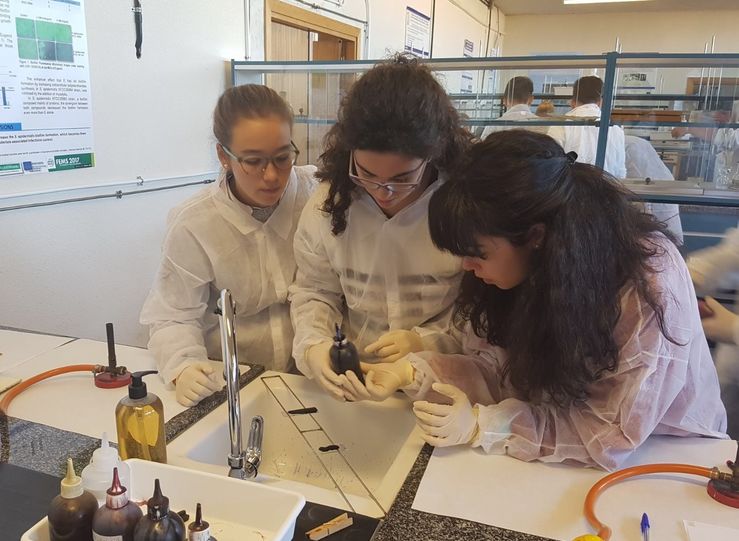 La UEx pone en marcha su III Semana de la Ciencia y la Tecnologa en Extremadura