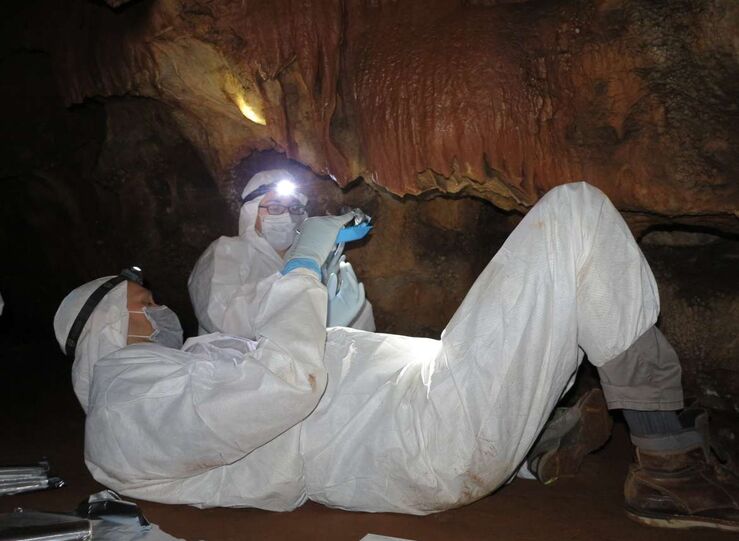 Buscan en cueva de Maltravieso trazas de ADN de humanos que realizaron las manos pintadas
