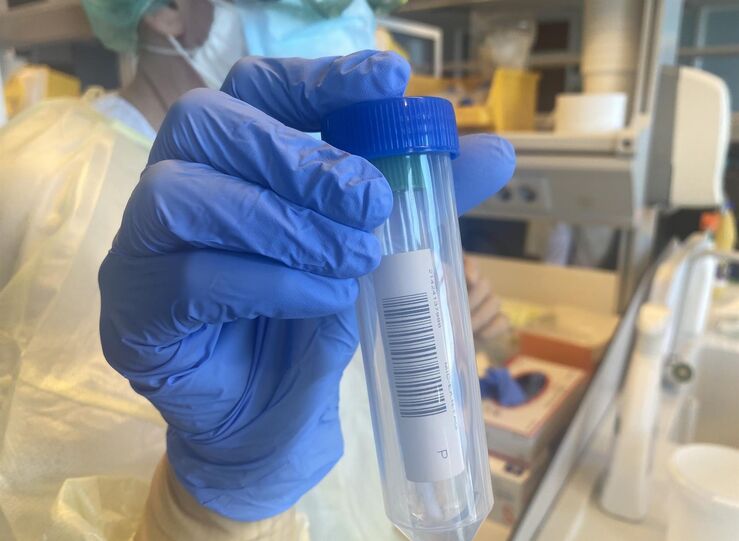 5 de las 667 pruebas PCR en la zona de salud de La Paz de Badajoz han dado positivo